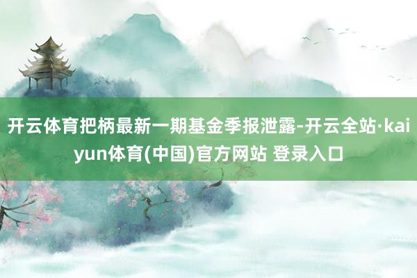 开云体育把柄最新一期基金季报泄露-开云全站·kaiyun体育(中国)官方网站 登录入口