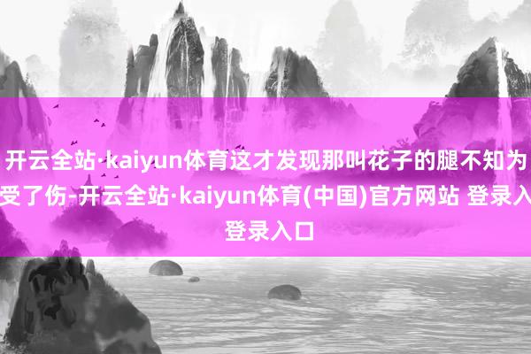 开云全站·kaiyun体育这才发现那叫花子的腿不知为何受了伤-开云全站·kaiyun体育(中国)官方网站 登录入口